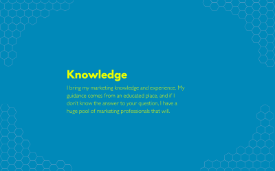 Brand values – what’s it like working with GiniB Digital?