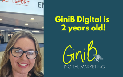 GiniB Digital is 2 years old!